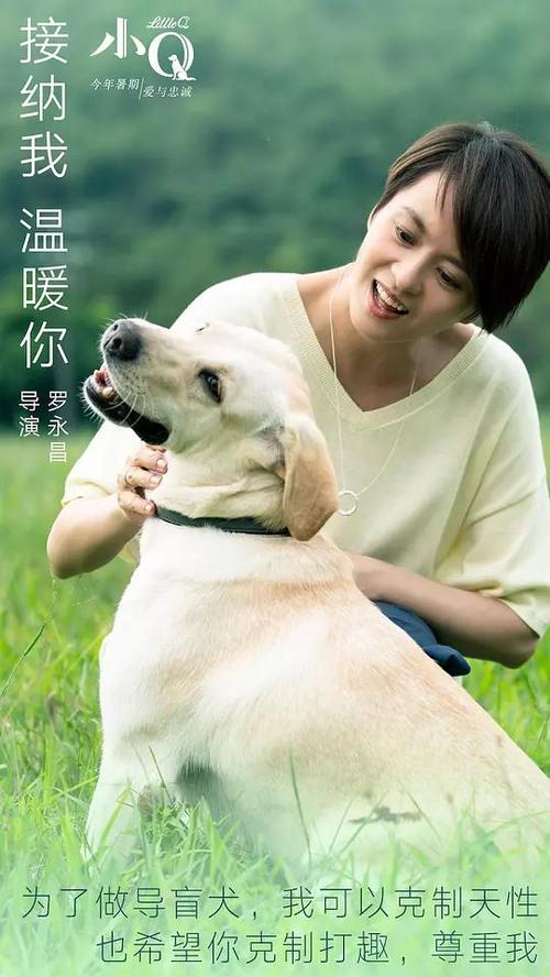 台湾护照扫描件怎么购买